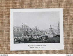 Il Porto Di Ancona Nel 1849 Marche - Sonstige & Ohne Zuordnung