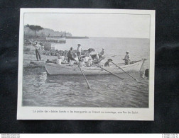 Trasportati Si Dedicano Al Canottaggio, Isole Della Salvezza Stampa Del 1909 - Andere & Zonder Classificatie