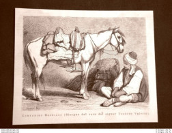 In Bosnia Nel 1875 Un Contadino Col Suo Cavallo Disegno Di Teodoro Valerio - Avant 1900