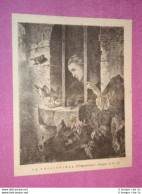 La Prigioniera Rinchiusa Galera Carcere Cella Di G.I. - Avant 1900