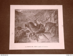 Incisione Del 1866 La Morte Del Cervo Quadro Di Landseer - Voor 1900