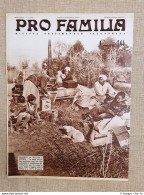 Copertina Pro Familia Del 1938 La Difficoltà Della Popolazione Nera Arkansas USA - Other & Unclassified