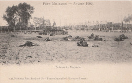 Armée Belge - Fete Militaire Anvers 1902 Défense Du Drapeau - Uniformi
