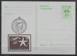 SLOVENIE Carte PAP   Poissons - Pesci