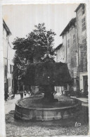 D 83  BARJOLS. FONTAINE DE LA MAIRIE. CARTE ECRITE - Barjols