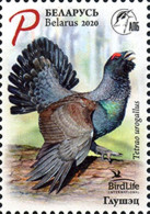 2020 Belarus Bird Of The Year - Western Capercaillie MNH - Wit-Rusland