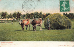 ANIMAUX - Deux Zébus Avec Un Un Joug - Vista Campestre - Colorisé - Carte Postale Ancienne - Other & Unclassified