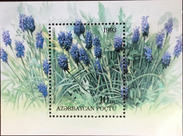 Azerbaijan 1993 Flowers Minisheet MNH - Sonstige & Ohne Zuordnung