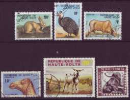 Afrique - Haute-Volta - Faune - 6  Timbres Différents - 7156 - Alto Volta (1958-1984)