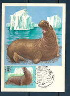CCCP - 1979 - Marine Life - Maximum Card - Marine Life