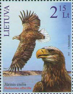 2011 1091 Lithuania The Red Book Of Lithuania. White-Tailed Sea Eagle MNH - Litouwen