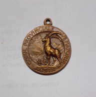 Medaglia Commissione Provinciale Venatoria Di AOSTA, Anni '30 (Bronzo / 26mm / Non Incisa) - Italië