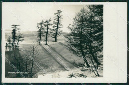 Verbania Vigezzo Nevicata Foto Cartolina KV2162 - Verbania