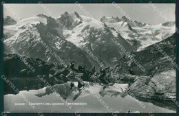 Aosta Cogne Stambecchi Foto Cartolina KV2151 - Aosta