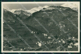 Bergamo Nossa Foto Cartolina KV2235 - Bergamo