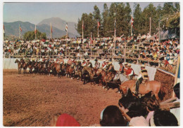 AK 214508 CHILE - Rodeo A La Chilena - Presentación - Chili