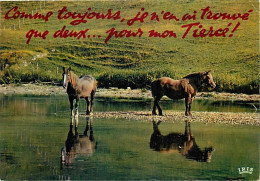 Animaux - Chevaux - Le Passage Du Gué - Carte Humoristique - CPM - Voir Scans Recto-Verso - Paarden