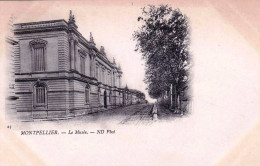 34 - Herault - MONTPELLIER - Le Musée - Montpellier