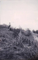 Petite Photo -  1938 -  Fort De DOUAUMONT - Parmi Les "chevaux De Frise" De La Guerre 1914 - Lugares