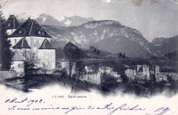 74 - Haute Savoie -  SAINT JEOIRE - Vue D'ensemble - 1902 - Saint-Jeoire