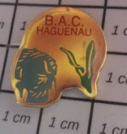 810H Pin's Pins / Beau Et Rare : ANIMAUX / POISSON EXOTIQUE B.A.C. HAGUENAU C'est Pas Des Poulets ? - Animals