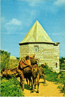 CPM AK Ephesus Small Mosque And Camel TURKEY (1402732) - Turchia