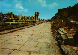 CPM AK Ephesus The Marble Street TURKEY (1403473) - Turquie