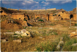 CPM AK Denizli Hierapolis TURKEY (1403369) - Turquie