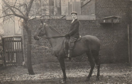 Carte Photo Cavalier Sur étalon - Foto's