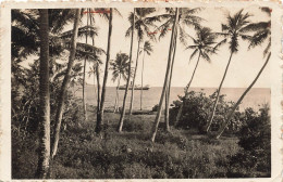 FRANCE - Mare - Le Loti Dans La Baie De Chépénépé - Vue Générale - Palmiers - Carte Postale Ancienne - Nouvelle Calédonie