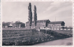 Armée Suisse, Payerne VD, Casene 2 (153) - Barracks