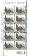 4305** PLANCHE I - Tétras Lyre / Korhoen - Assiciations / Verenigingen - BUZIN - BELGIQUE / BELGIË / BELGIEN - Unused Stamps