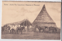 Roma Sulla Via Tuscolana Capanna Di Pecorari - Otros Monumentos Y Edificios