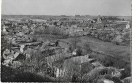 28 CHATEAUDUN (Eure Et Loire) Panorama Sur La Ville Et Le Loir -circulé Edit  Valoire Blois N° 5.105 - Chateaudun