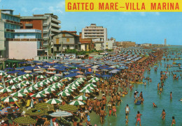 CARTOLINA ITALIA 1984 FORLì GATTEO MARE SPIAGGIA ORA DEL BAGNO Italy Postcard ITALIEN Ansichtskarten - Forlì