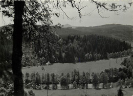 43 - Le Chambon Sur Lignon - Mention Photographie Véritable - Carte Dentelée - CPSM Grand Format - Carte Neuve - Voir Sc - Le Chambon-sur-Lignon