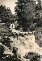 31 - Saint Ferreol - Bassin De Saint Ferreol - Les Cascades - Mention Photographie Véritable - Carte Dentelée - CPSM Gra - Saint Ferreol