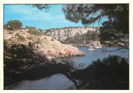 Espagne - Espana - Islas Baleares - Menorca - Cala Galdana - CPM - Voir Scans Recto-Verso - Menorca