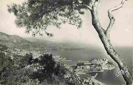 Monaco - Vue Générale - CPM - Voir Scans Recto-Verso - Mehransichten, Panoramakarten