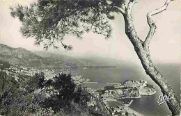 Monaco - Vue Générale - CPM - Voir Scans Recto-Verso - Multi-vues, Vues Panoramiques