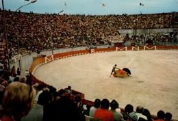 BEZIERS    ( HERAULT )     LES ARENES. FERIA DU 15 AOUT - Corridas