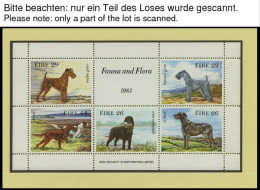 IRLAND Bl. 3-5,583KB **, 1980-85, 3 Blocks Und Ein Kleinbogen, Pracht, Mi. 33.50 - Andere & Zonder Classificatie