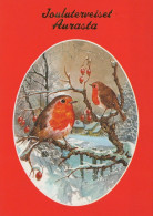 UCCELLO Animale Vintage Cartolina CPSM #PAM933.A - Vögel