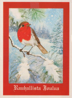 UCCELLO Animale Vintage Cartolina CPSM #PAM653.A - Vögel
