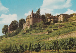 1 AK Germany / Rheinland-Pfalz * Neustadt An Der Weinstraße Mit Dem Haardter Schlößchen * - Neustadt (Weinstr.)