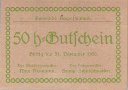 50 HELLER 1920 Stadt RAIPOLTENBACH Niedrigeren Österreich Notgeld #PD980 - Lokale Ausgaben