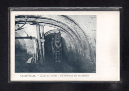 (23/04/24) THEME METIERS DE LA MINE-CPA CHARBONNAGE - DANS LA FOSSE - UN BOUVEAU DE TRANSPORT - Mijnen