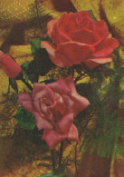 FLORES Vintage Tarjeta Postal CPSM #PAS128.ES - Fleurs