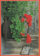 FLORES Vintage Tarjeta Postal CPSM #PAR347.ES - Fleurs