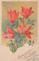 FLOWERS Vintage Postcard CPA #PKE710.GB - Fleurs